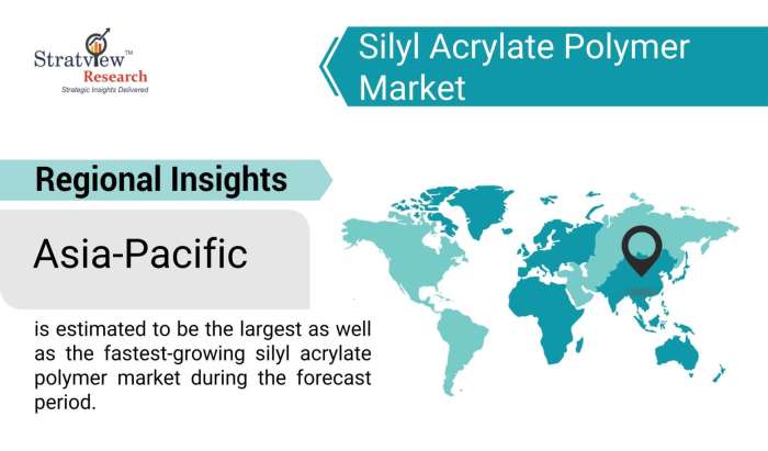 Silyl-Acrylate-Polymer-Market-Regional-Insights